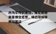  内维尔马里纳 